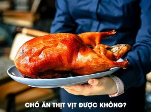 cho an thit vi
