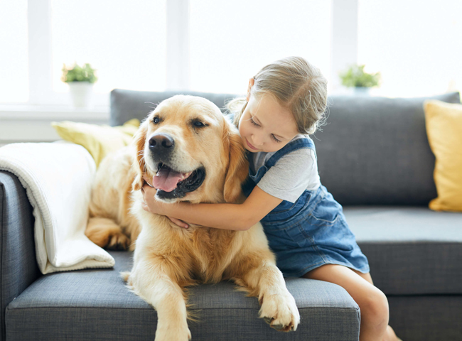 Top 22 Giống Chó An Toàn Cho Trẻ - 7 Điều Cần Lưu Ý Khi Nuôi 52 giong cho an toan cho tre