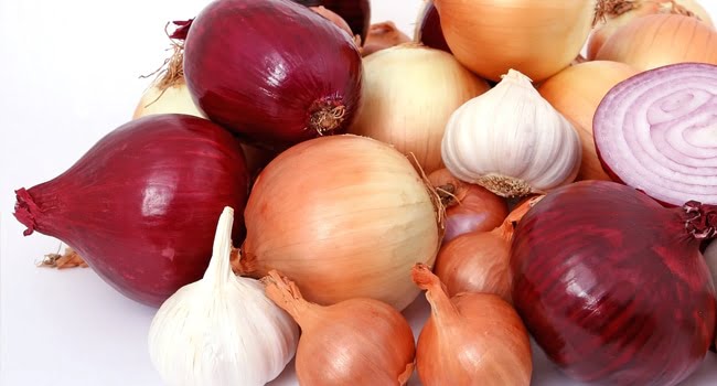 Mèo Ăn Hành Được Không? Các Lưu Ý Cần Thiết 6 Meo Co An Hanh Duoc Khong